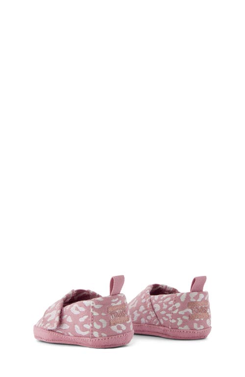Toms Alpargata Crib Shoe In Pink
