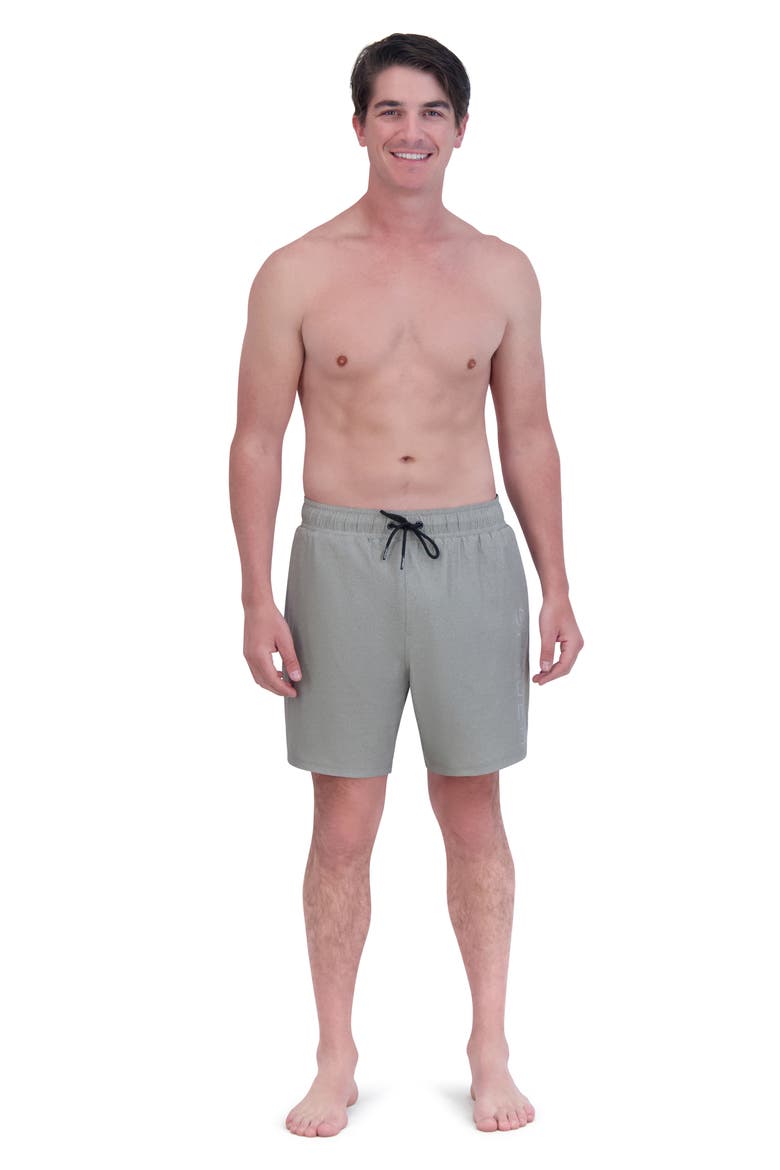 7-Inch Volley Swim Shorts, Alternate, color, PEWTER