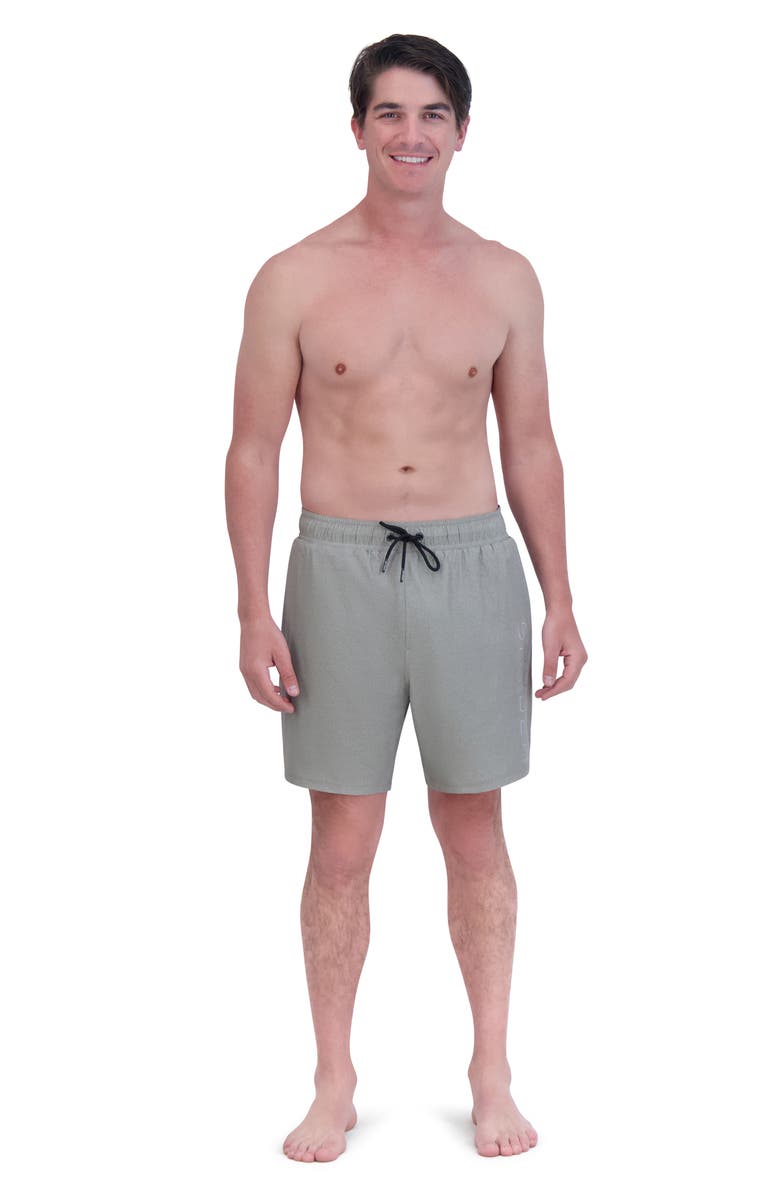 Spyder 7-Inch Volley Swim Shorts, Alternate, color, Pewter