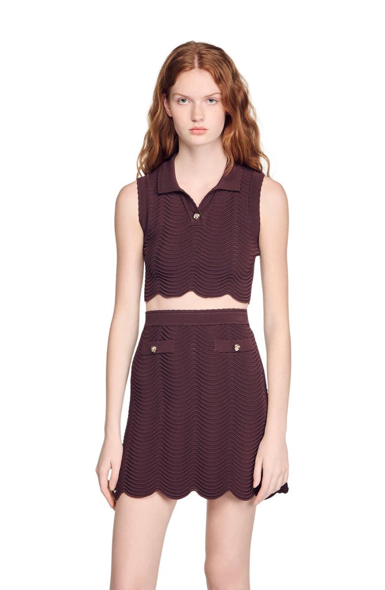 SANDRO Cropped decorative knit top, Main, color, Brown