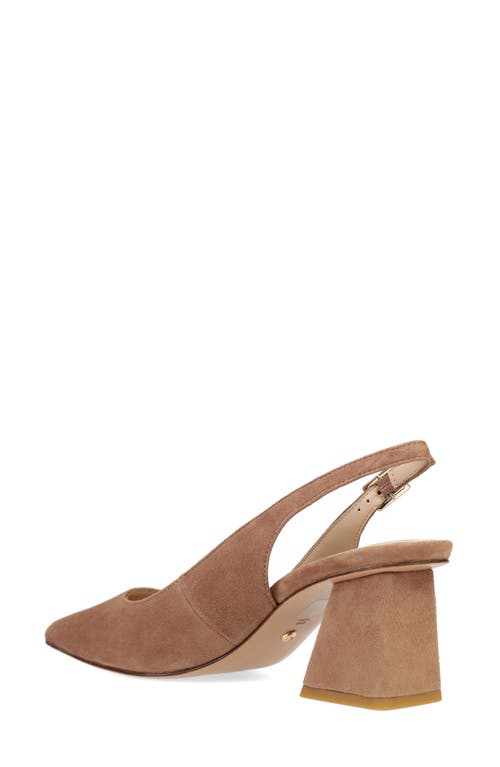 Pelle Moda Florin Slingback Pointed Toe Pump In Brown