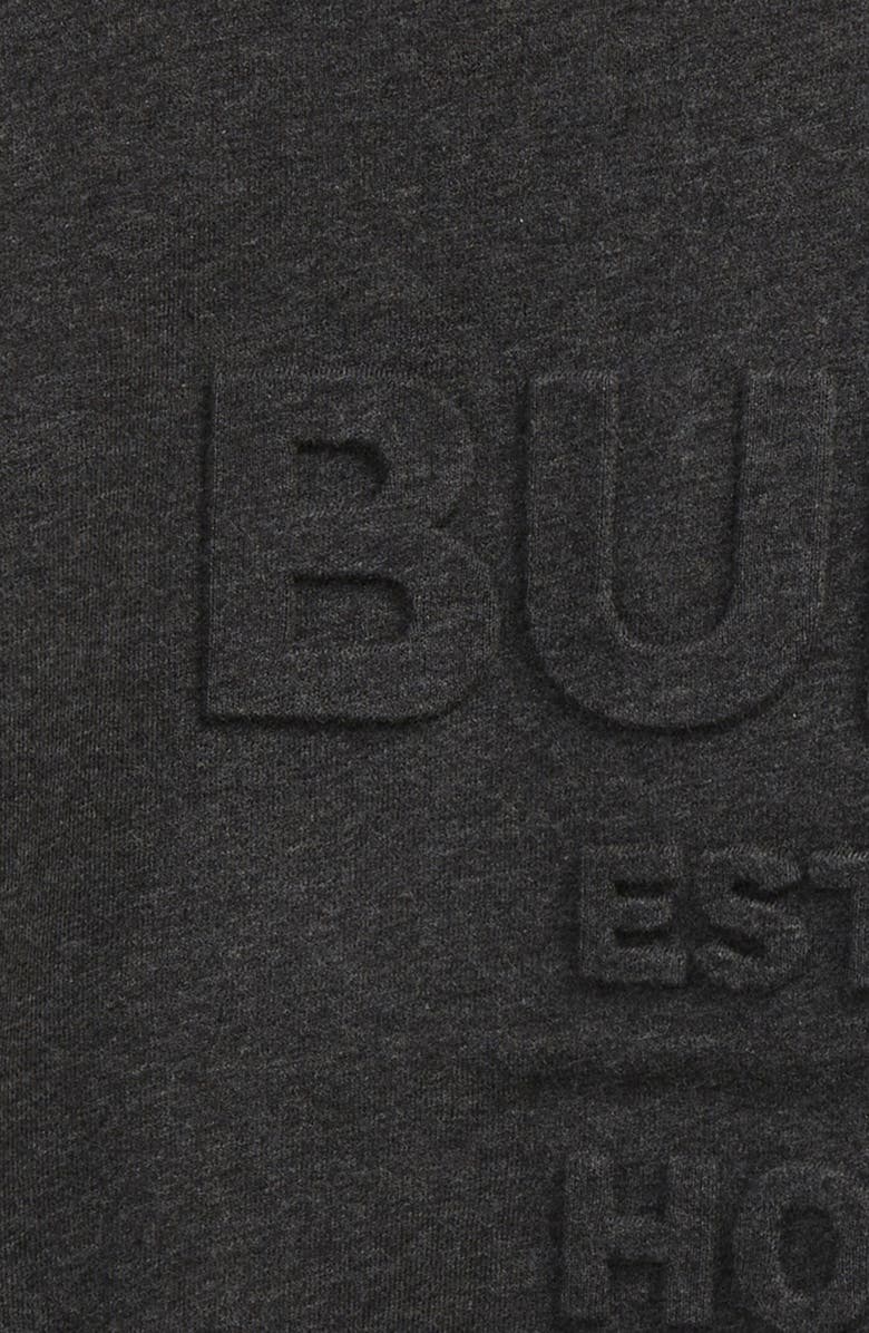 Burberry Kids' Alven Embossed Horseferry Logo Sweatshirt, Alternate, color,