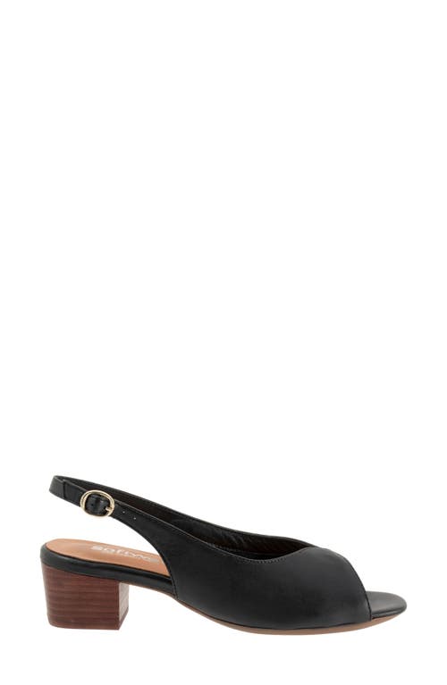 Softwalk ® Lakewood Slingback Sandal In Black