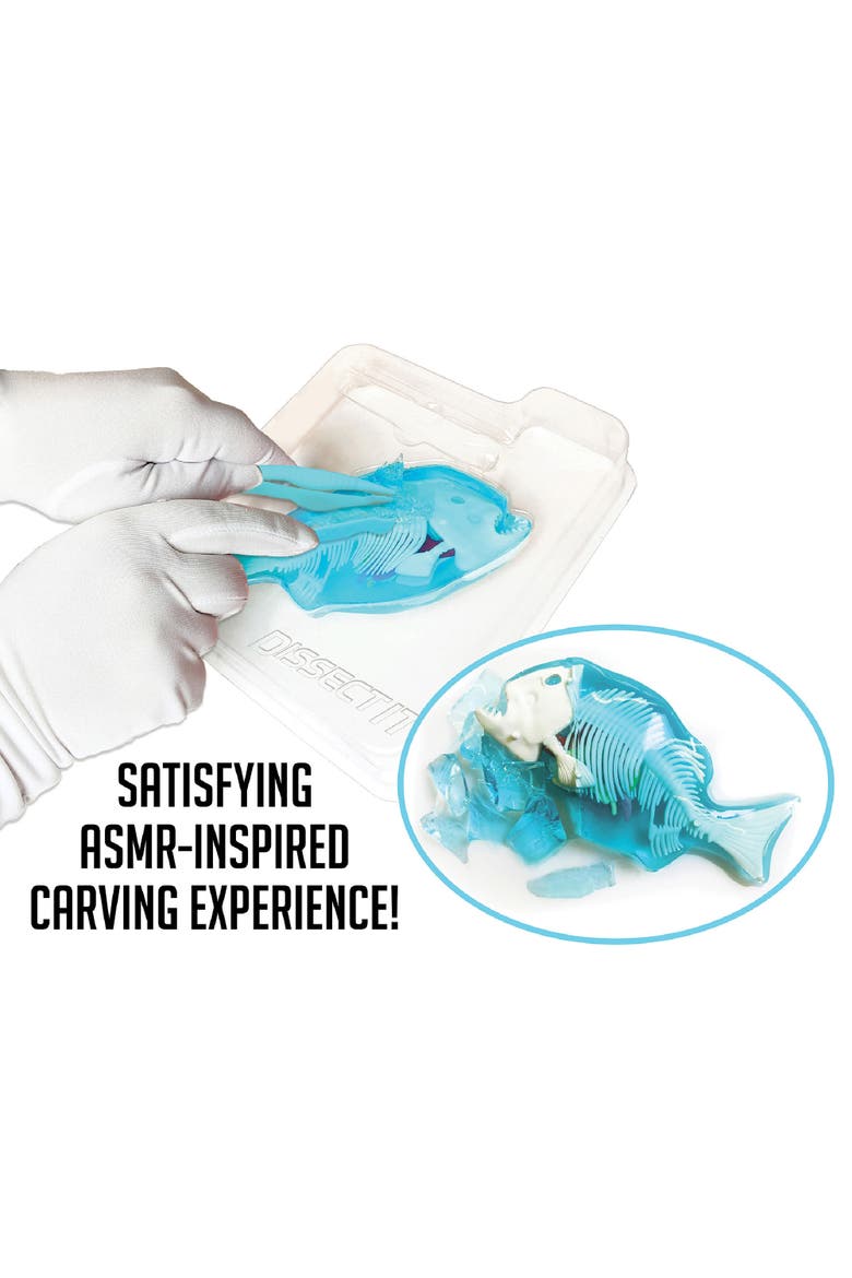 Top Secret Toys Dissectit Piranha Lab, Science Kis & Toys, Ages 6+, Alternate, color, Multicolored