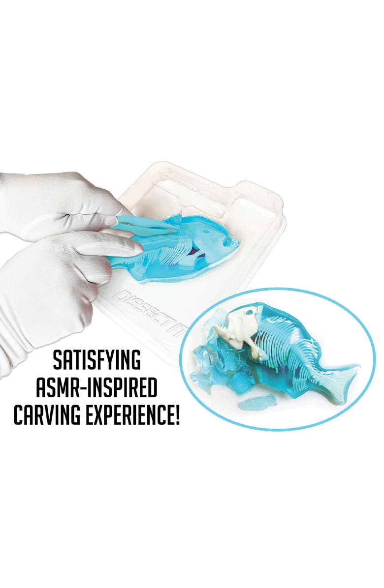 Dissect-It Top Secret Toys Dissectit Piranha Lab, Science Kis & Toys, Ages 6+, Alternate, color, Multicolored