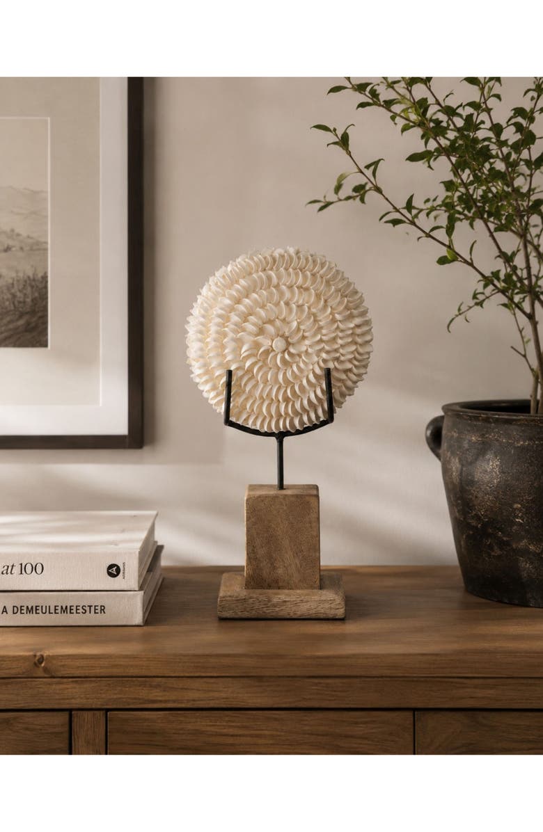 Zodax Clamrose Seashells on Wooden Stand, Alternate, color, Ivory/ Natural
