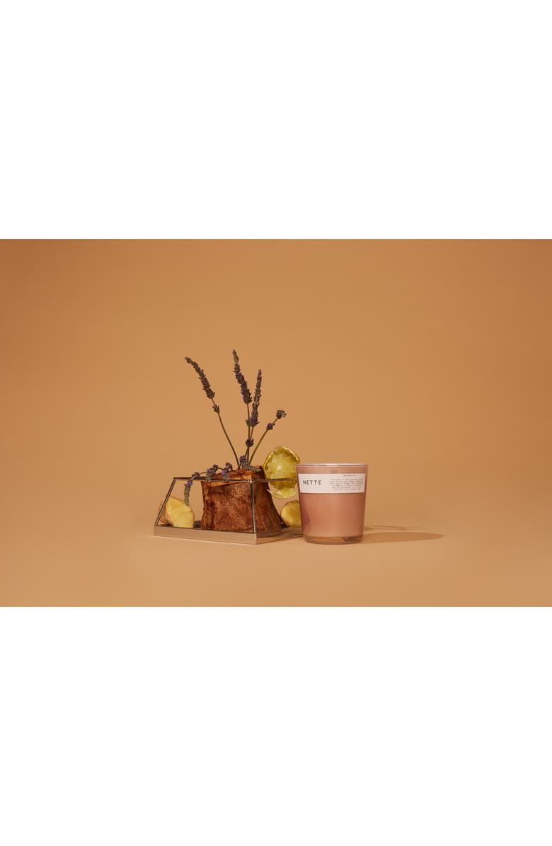 NETTE Another Life Scented Candle, Alternate, color, 