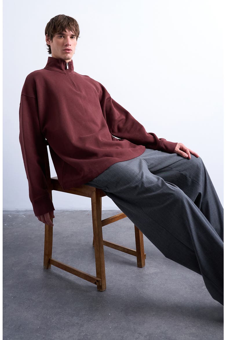 Heavyweight Oversize Quarter Zip Sweatshirt, Alternate, color, BROWN