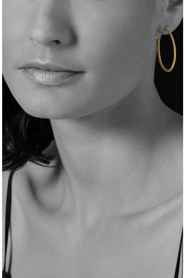 Caviar Gold Hoop Earrings, Alternate, color, GOLD