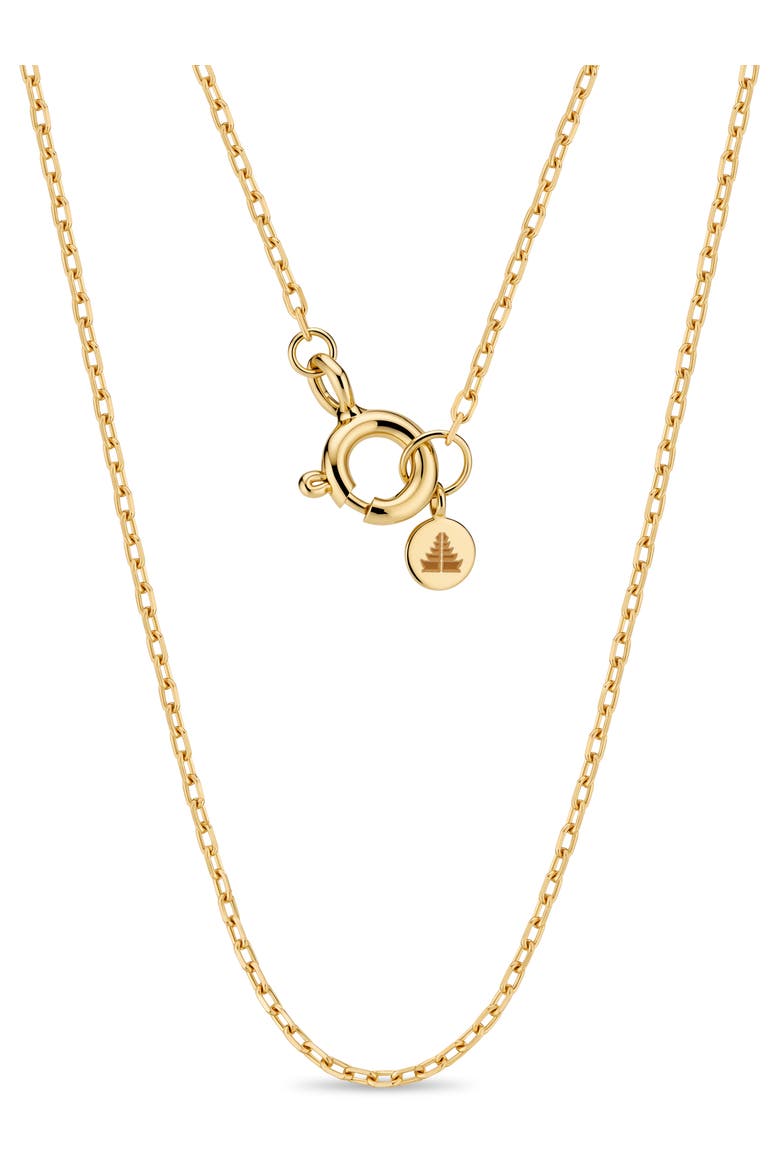 Cable Chain Necklace in 14K Gold, Main, color, Gold