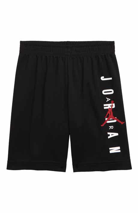 Jordan Vertical Logo Mesh Shorts