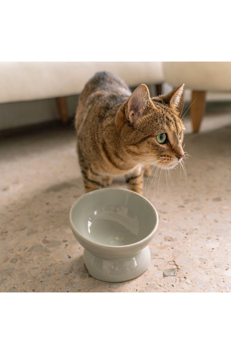 Dexypaws Elevated Ceramic Bowl For Cats, Desert Green, 7oz Capacity, Alternate, color, Green