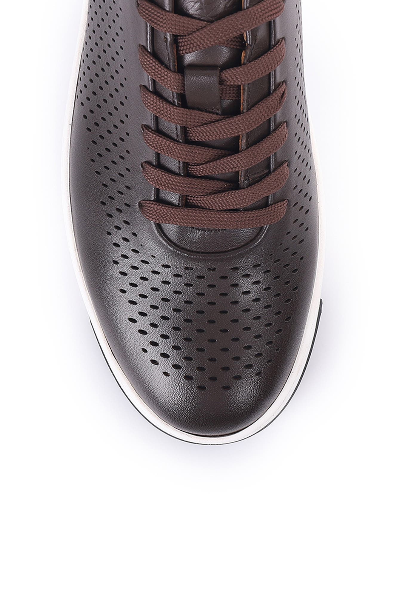 VELLAPAIS Piasola Perforation Low Top Sneaker, Alternate, color, 