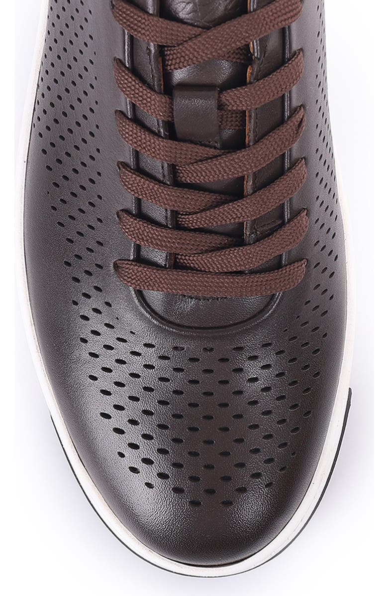 VELLAPAIS Piasola Perforation Low Top Sneaker, Alternate, color,