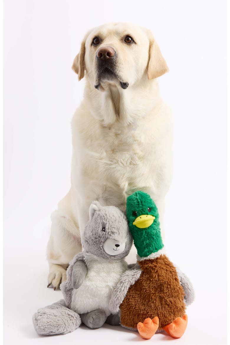 Squirrel Pet Toy Warmies, Alternate, color, Medium Gray