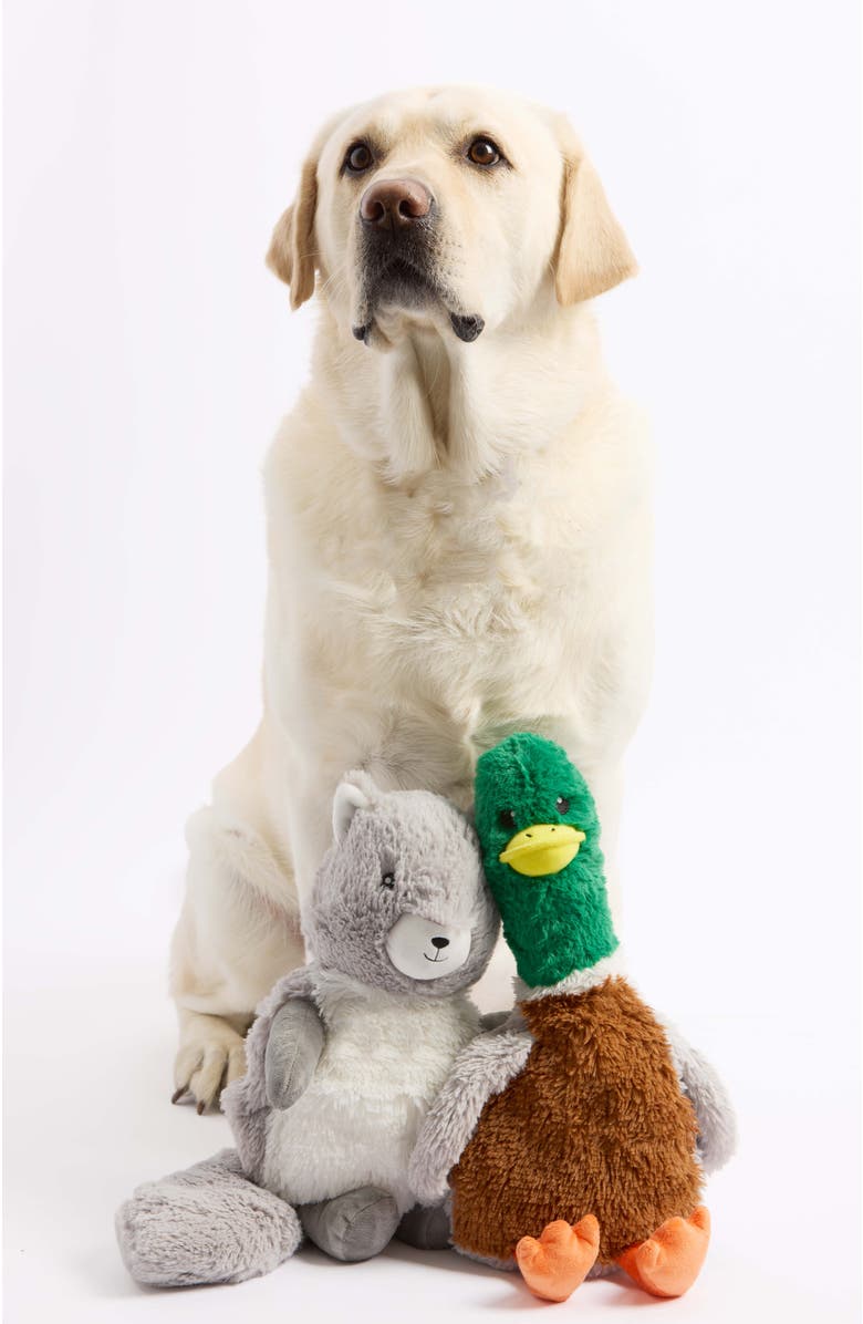 Warmies Squirrel Pet Toy Warmies, Alternate, color, Medium Gray