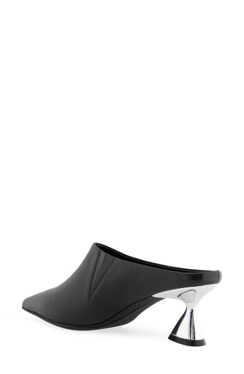 AEROSOLES AEROSOLES JAMA POINTED TOE MULE