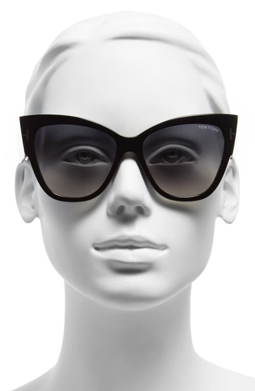 Tom Ford Anoushka 57mm Gradient Cat Eye Sunglasses In Shiny Black/gradient Grey