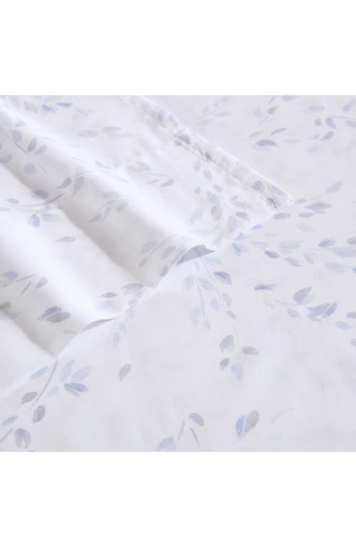 Calvin Klein Home Airy Botanical Cotton Sateen Queen Sheet Set In Open Light-pastel Blue