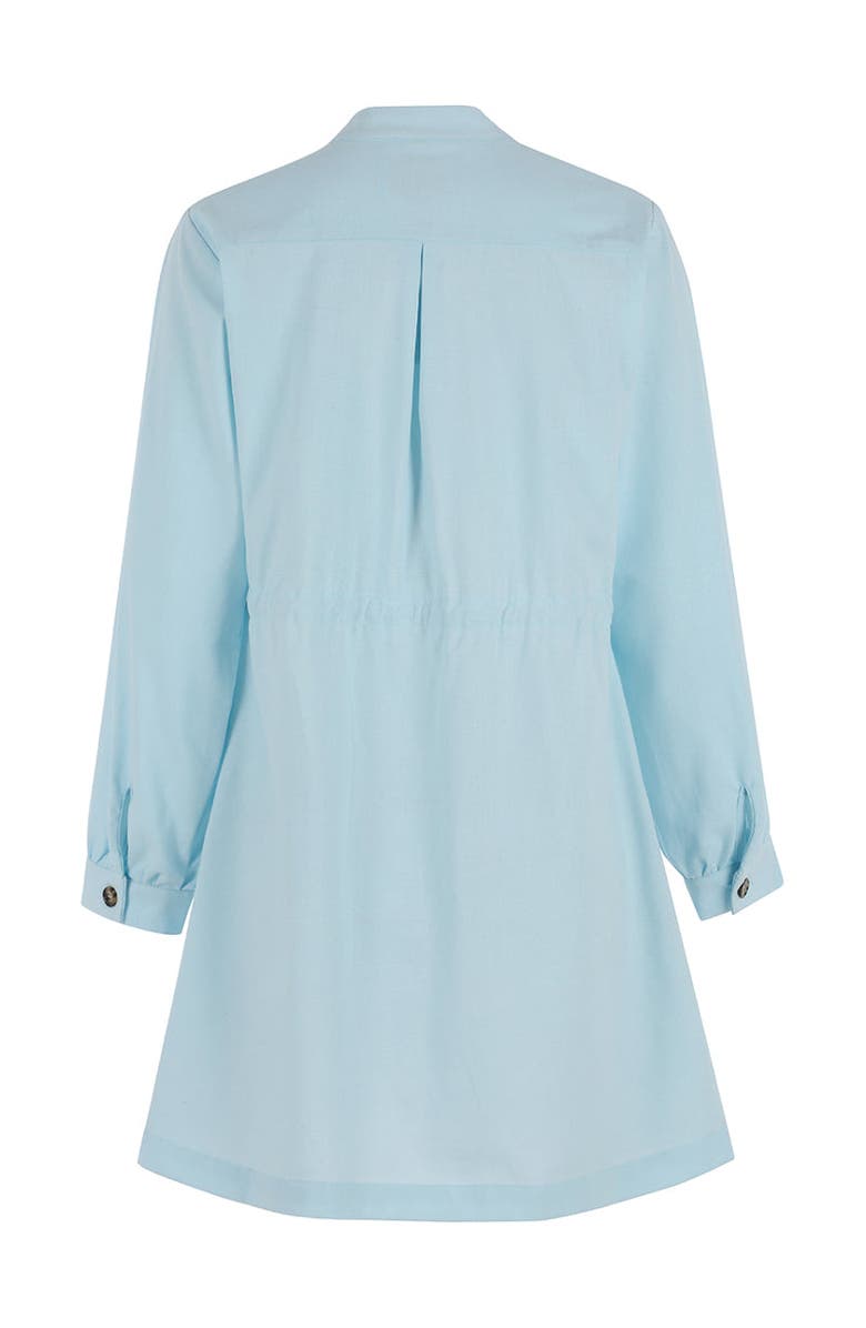 The Shirt by Rochelle Behrens The Mason Dress, Alternate, color, Aqua