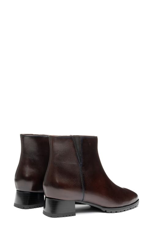 Ara Galway Bootie In Brown