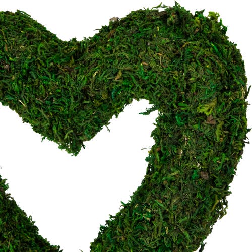 Northlight 13.5" Green Reindeer Moss Heart Twig Artificial Wreath In Green
