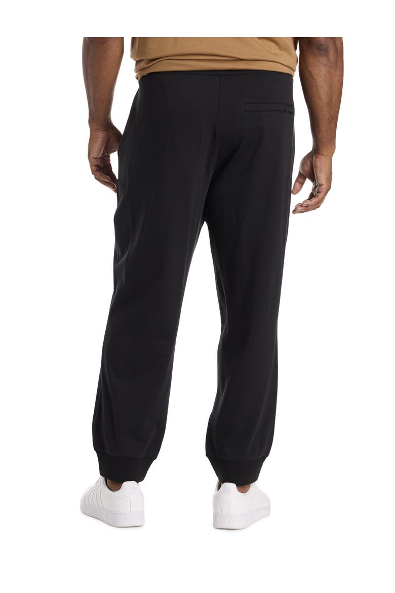 Big & Tall Dante Sweatpants, Alternate, color, BLACK
