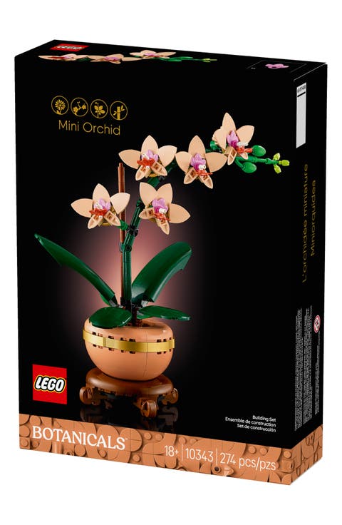 18+ Botanicals™ Mini Orchid - 10343