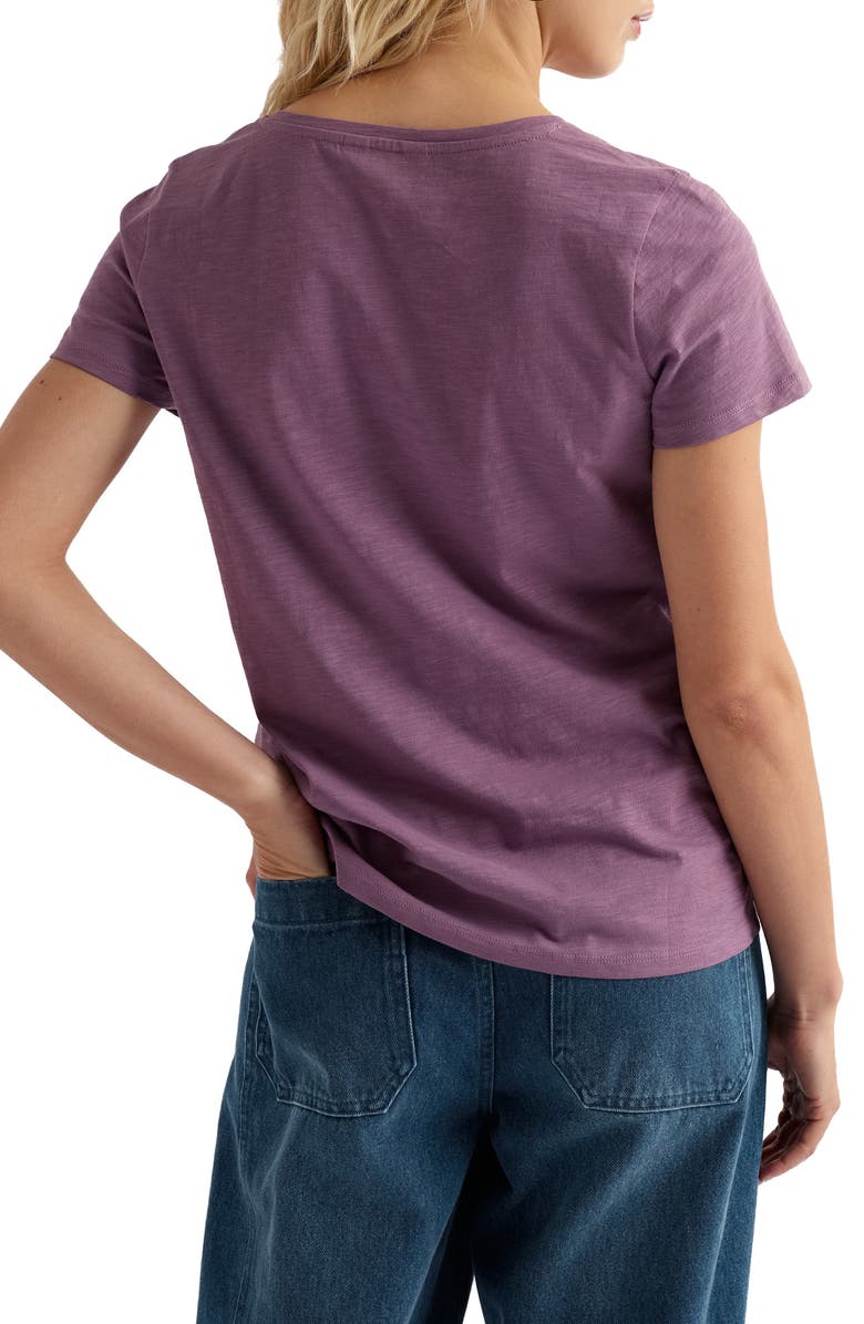 Seasalt Cornwall Kellow V-Neck Organic Cotton T-Shirt, Alternate, color, Verbena