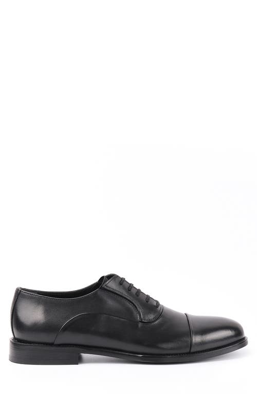 Vellapais Otto Oxford In Black