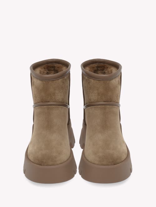 Gianvito Rossi Woman Ankle Boots Khaki Size 7.5 Leather In Multi