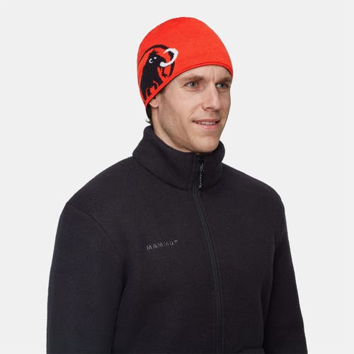 Mammut Logo Beanie In Black