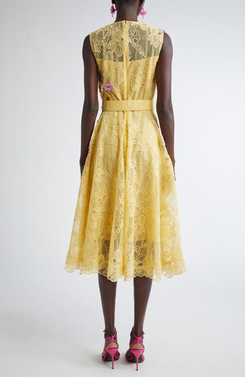 Oscar De La Renta Orchid Threadwork Floral Lace Fit & Flare Dress In Banana