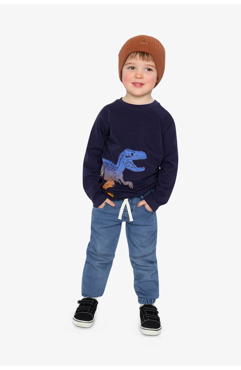 Deux par Deux Long Sleeve Organic Cotton Dino Crew Neck T-Shirt, Alternate, color,