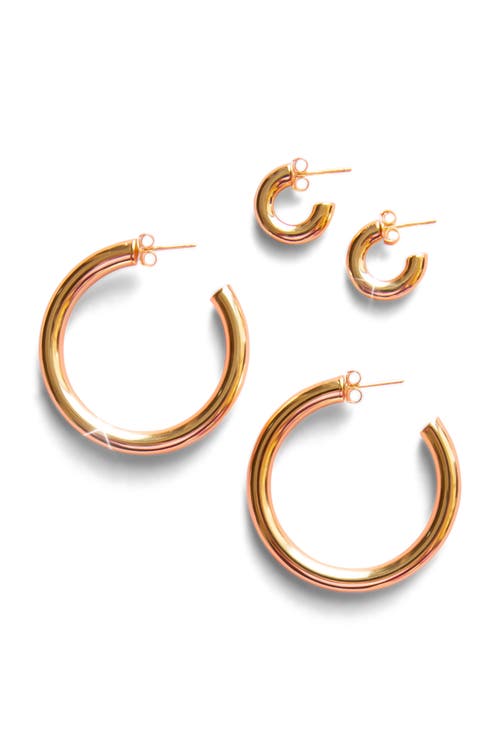 Sunshine Studios Dakota Hoop Earrings In Gold