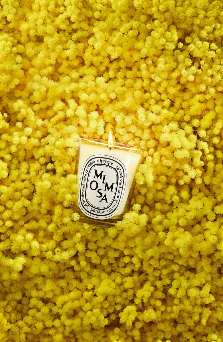 Diptyque Mimosa Scented Candle, Alternate, color, 