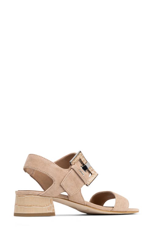 DONALD PLINER DONALD PLINER CROC EMBOSSED HEEL SANDAL 