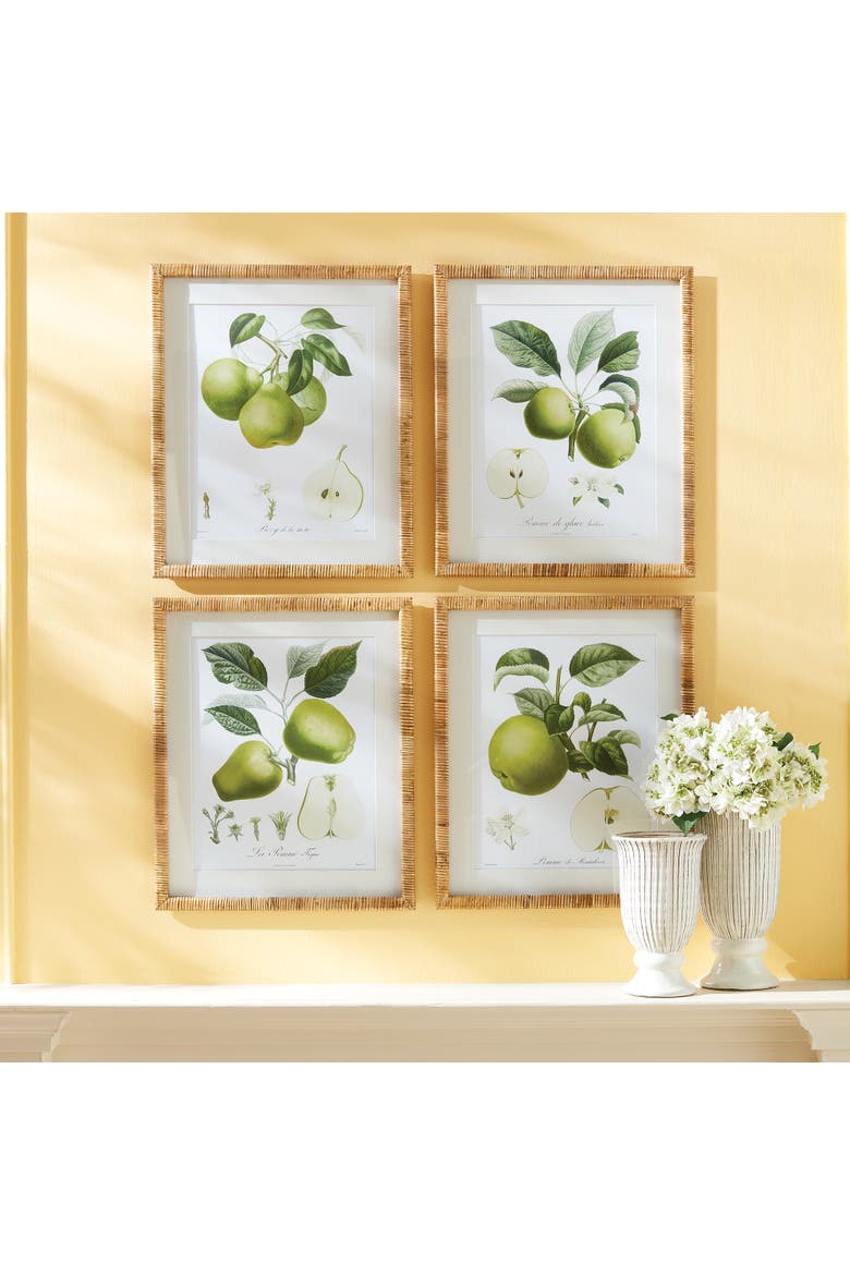 Fruit Study Set of 4, Alternate, color, Green
