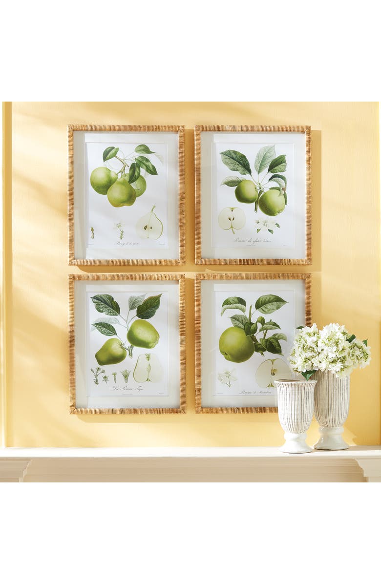 Napa Home & Garden Fruit Study Set of 4, Alternate, color, 