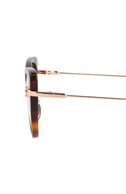 Pomellato Novelty 50mm Cat Eye Optical Glasses In Havana Gold Transparent