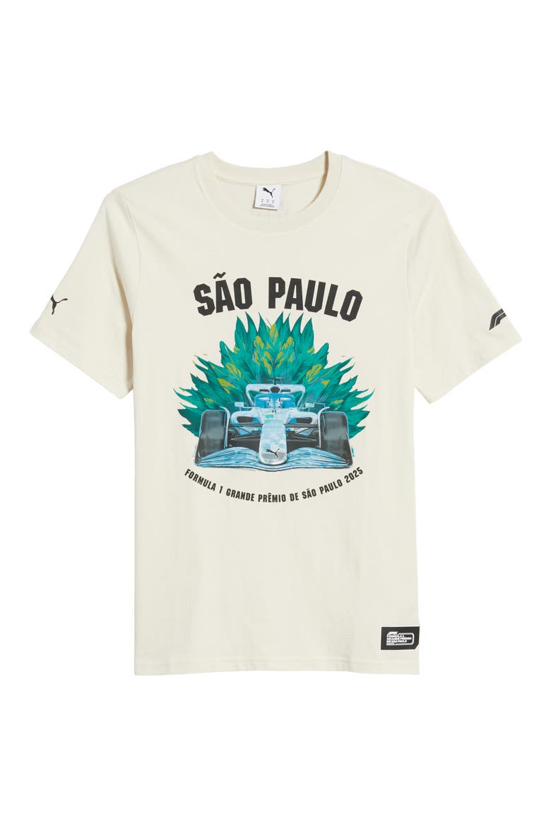 F1 Brazil Cotton Graphic T-Shirt, Alternate, color, ALPINE SNOW