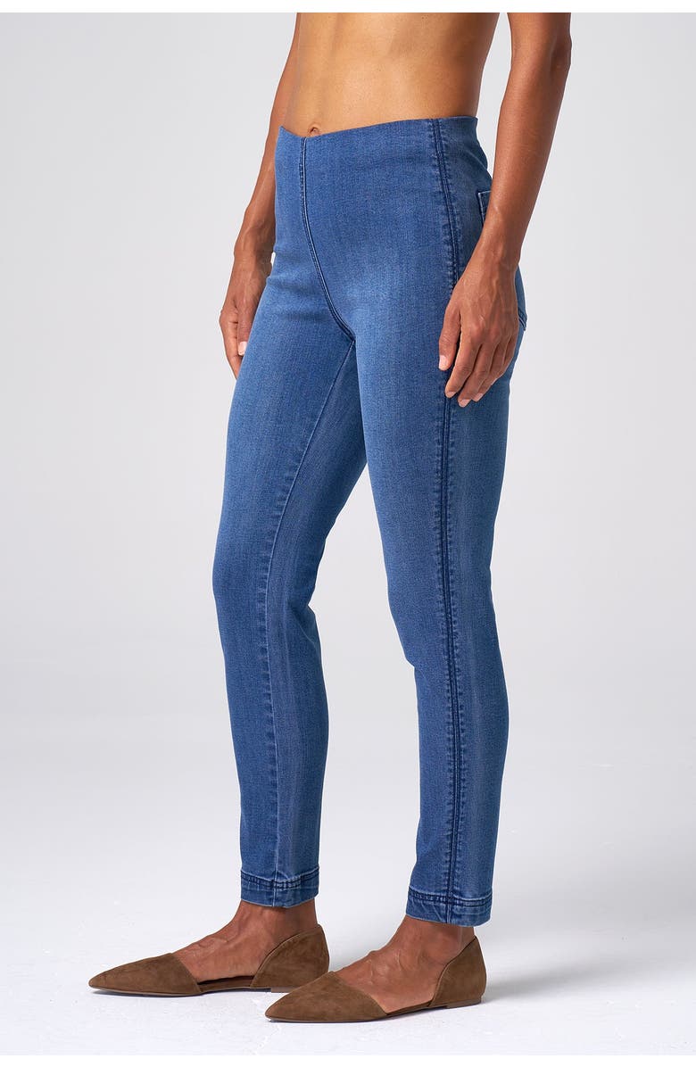 Franne Golde Slim Stretch Pull-On Ankle Jean, Alternate, color, Classic Wash