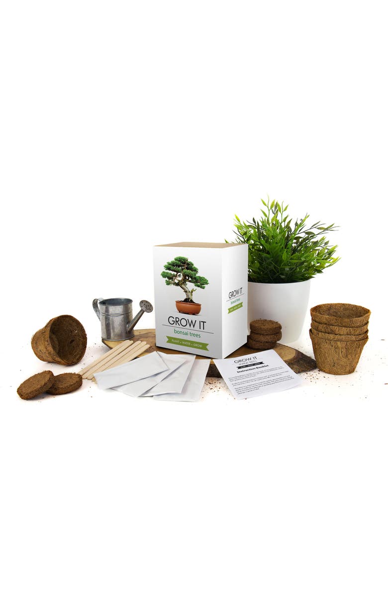 GIFT REPUBLIC Bonsai Grow Kit, Alternate, color, Brown