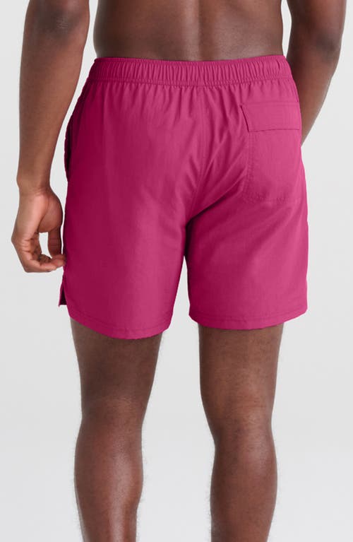 Saxx Go Coastal 2-in-1 Volley Swim Shorts In Magenta