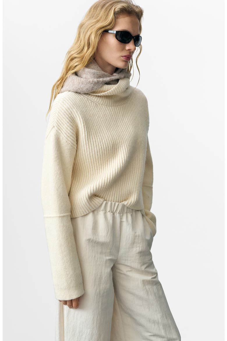 Tappeito Turtleneck Cotton & Wool Rib Sweater, Alternate, color, ECRU