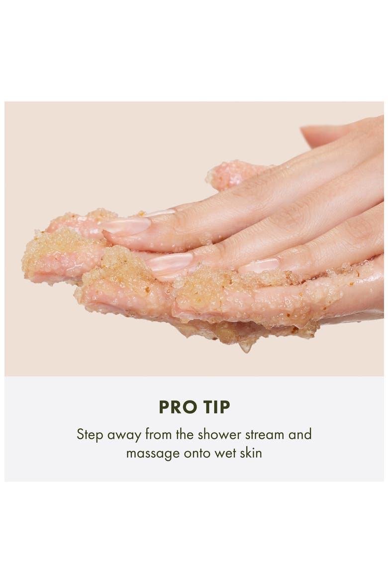 Ginger Body Scrub™ Smoothing Body Buffer, Alternate, color, NO COLOR