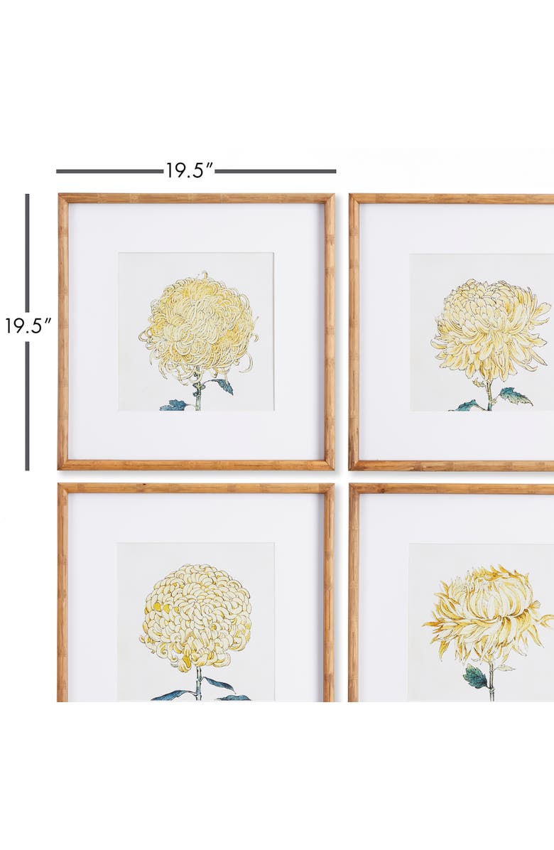 Napa Home & Garden Chrysanthemum Prints Set of 4, Alternate, color, 