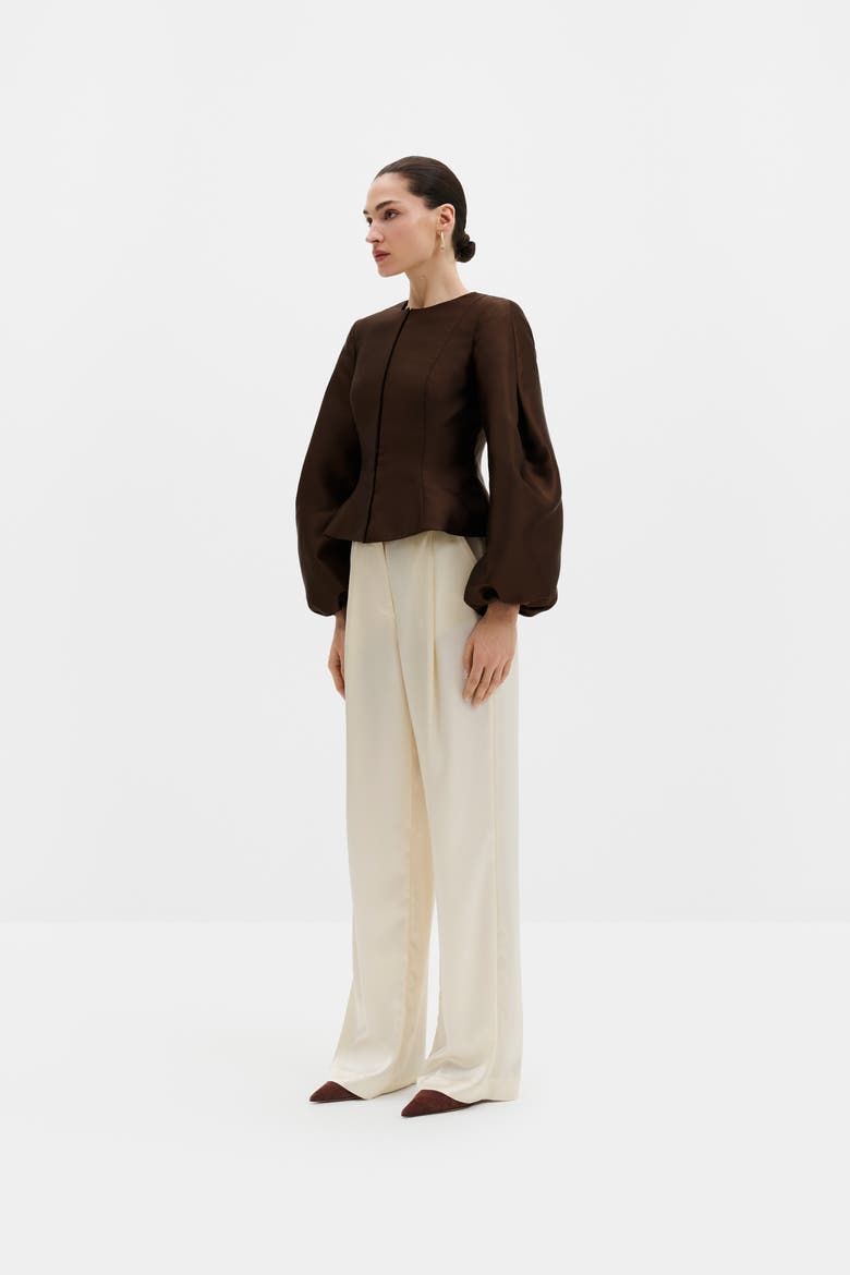 Vendela Balloon Sleeve Blouse, Alternate, color, Dark Brown