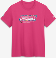 Nike Women's Nike Pink Arizona Cardinals 2026 NFL Crucial Catch Tri-Blend Dri-FIT T-Shirt