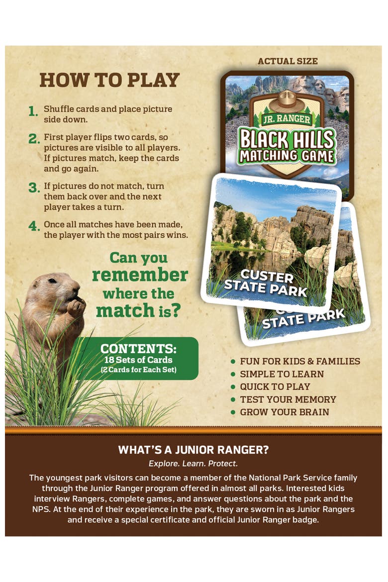 Jr Ranger - Black Hills Matching Game, Alternate, color, Multicolor